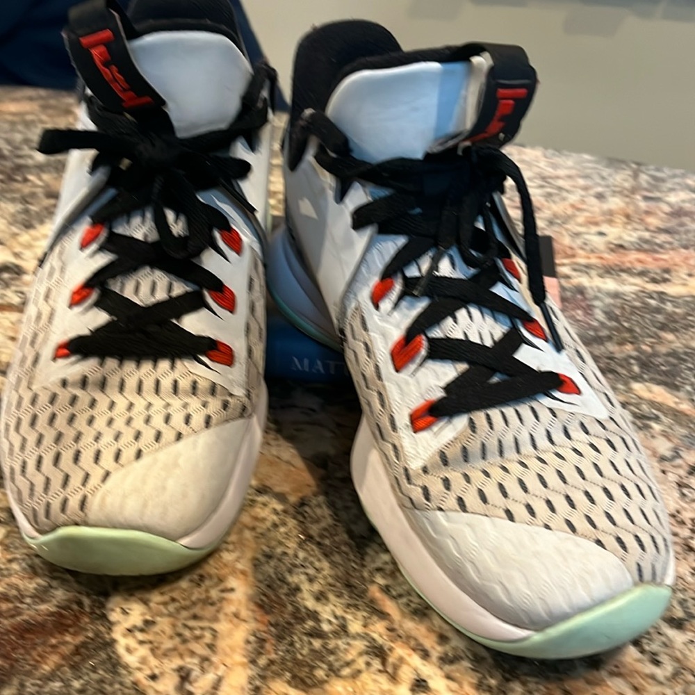 Nike lebron witness 5